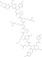 Neurotensin (Human, Bovine, Canine)