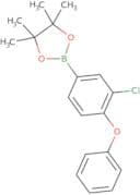 2-[3-(4-Chlorophenoxy)phenyl]-4,4,5,5-tetramethyl-1,3,2-dioxaborolane
