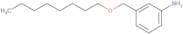 3-[(Octyloxy)methyl]aniline