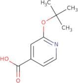 2-(tert-Butoxy)pyridine-4-carboxylic acid