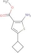 Methyl 2-amino-5-cyclobutylthiophene-3-carboxylate