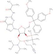 3'-O-tert-Butyldimethylsilyl-5'-O-DMT-N2-isobutyrylguanosine 2'-CE phosphoramidite
