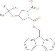 Fmoc-D-Hyp(tBu)-OH
