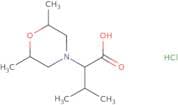 2-(2,6-Dimethylmorpholin-4-yl)-3-methylbutanoic acid hydrochloride