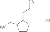 (2-Propylcyclopentyl)methanamine hydrochloride