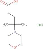 4-Methyl-4-(morpholin-4-yl)pentanoic acid hydrochloride