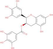 Epigallocatechin gallate