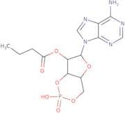 2'-o-Butyryladenosine 3',5'-cyclic phosphate dmap