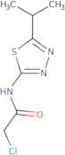 2-Chloro-N-(5-isopropyl-[1,3,4]thiadiazol-2-yl)-acetamide