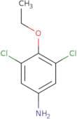 3,5-Dichloro-4-ethoxyaniline