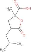 2-Methyl-4-(2-methylpropyl)-5-oxooxolane-2-carboxylic acid
