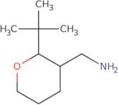 (2-tert-Butyloxan-3-yl)methanamine