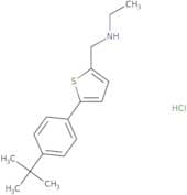 {[5-(4-tert-Butylphenyl)thiophen-2-yl]methyl}(ethyl)amine hydrochloride