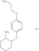 2-(4-Propoxyphenoxy)cyclohexan-1-amine hydrochloride