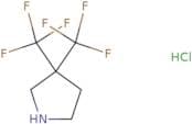 3,3-Bis(trifluoromethyl)pyrrolidine hydrochloride