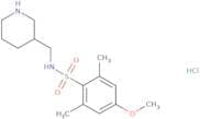 4-Methoxy-2,6-dimethyl-N-[(piperidin-3-yl)methyl]benzene-1-sulfonamide hydrochloride