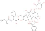 7-Xylosyl-10-deacetyltaxol B