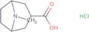 8-Methyl-8-azabicyclo[3.2.1]octane-3-carboxylic acid hydrochloride