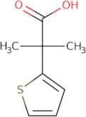 2-Methyl-2-thien-2-ylpropanoic acid