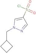 1-(Cyclobutylmethyl)-1H-pyrazole-4-sulfonyl chloride