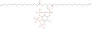 Phosphatidylinositol 3,4,5-trisphosphate dic16 (pi(3,4,5)P3 dic16)