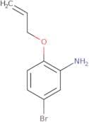 5-Bromo-2-(prop-2-en-1-yloxy)aniline