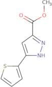 Methyl 5-thien-2-yl-1H-pyrazole-3-carboxylate