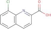 8-Chloroquinoline-2-carboxylic Acid