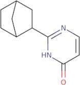 2-{Bicyclo[2.2.1]heptan-2-yl}-3,4-dihydropyrimidin-4-one