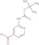 2-{[(tert-butoxy)carbonyl]amino}pyridine-4-carboxylic acid