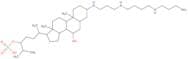 [(3R,6R)-6-[(3R,5R,7R,8R,9S,10S,13R,14S,17R)-3-[3-[4-(3-Aminopropylamino)butylamino]propylamino]-7…