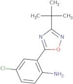 2-(3-tert-Butyl-1,2,4-oxadiazol-5-yl)-4-chloroaniline