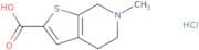 6-Methyl-4H,5H,6H,7H-thieno[2,3-c]pyridine-2-carboxylic acid hydrochloride