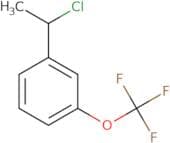 1-(1-Chloroethyl)-3-(trifluoromethoxy)benzene