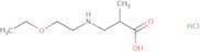 3-[(2-Ethoxyethyl)amino]-2-methylpropanoic acid hydrochloride