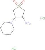 1,1-Dioxo-4-piperidin-1-ylthiolan-3-amine dihydrochloride