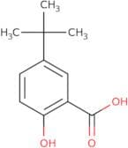 5-tert-Butyl-2-hydroxybenzoic acid