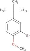 2-Bromo-4-tert-butyl-1-methoxybenzene