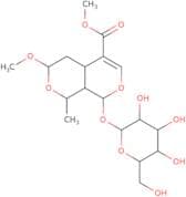 7-o-Methyl morroniside