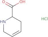 1,2,5,6-Tetrahydropyridine-2-carboxylic acid hydrochloride