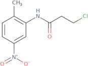 3-Chloro-N-(2-methyl-5-nitrophenyl)propanamide