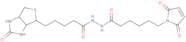 Biotin-maleimide