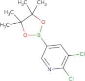 2,3-dichloro-5-(4,4,5,5-tetramethyl-1,3,2-dioxaborolan-2-yl)pyridine