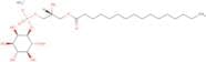 1-Palmitoyl-2-hydroxy-sn-glycero-3-phosphoinositol ammonium salt