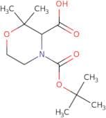 4-[(tert-Butoxy)carbonyl]-2,2-dimethylmorpholine-3-carboxylic acid