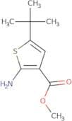methyl 2-amino-5-tert-butylthiophene-3-carboxylate