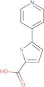 5-Pyridin-4-ylthiophene-2-carboxylic acid