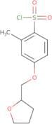 2-Methyl-4-(oxolan-2-ylmethoxy)benzene-1-sulfonyl chloride