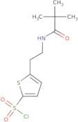 5-[2-(2,2-Dimethylpropanamido)ethyl]thiophene-2-sulfonyl chloride