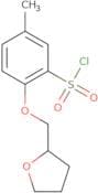 5-Methyl-2-(oxolan-2-ylmethoxy)benzene-1-sulfonyl chloride